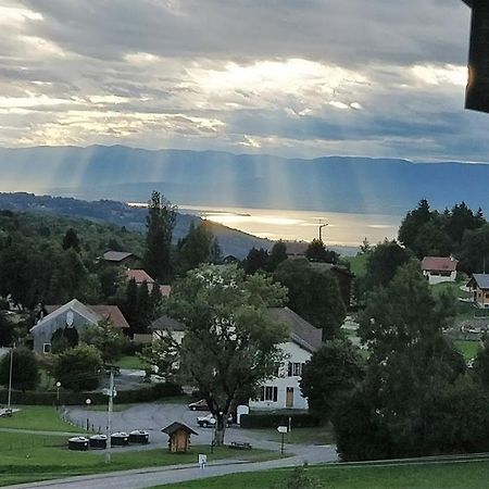 Balcony Of Lake Geneva Thollon-les-Memises ภายนอก รูปภาพ